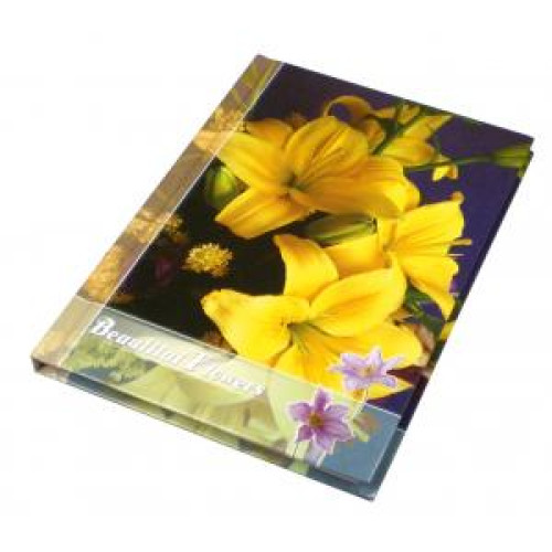 Záznamová kniha A4 100 listov linajková Záznamová kniha A4 100 listov linajková