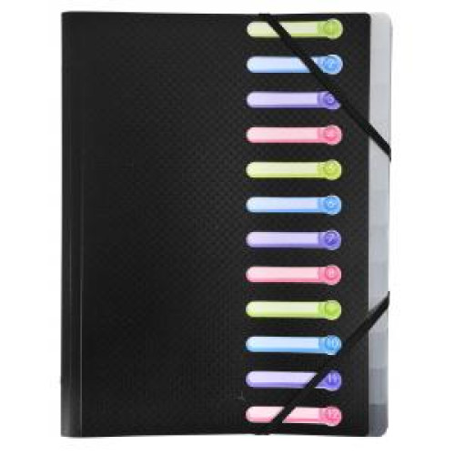 Triediaca kniha 12 PAGNA Easy Triediaca kniha 12 PAGNA Easy