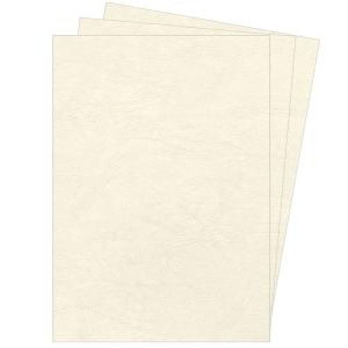 Kartónové obálky na krúžkovú väzbu Delta koža A4 slonovinové